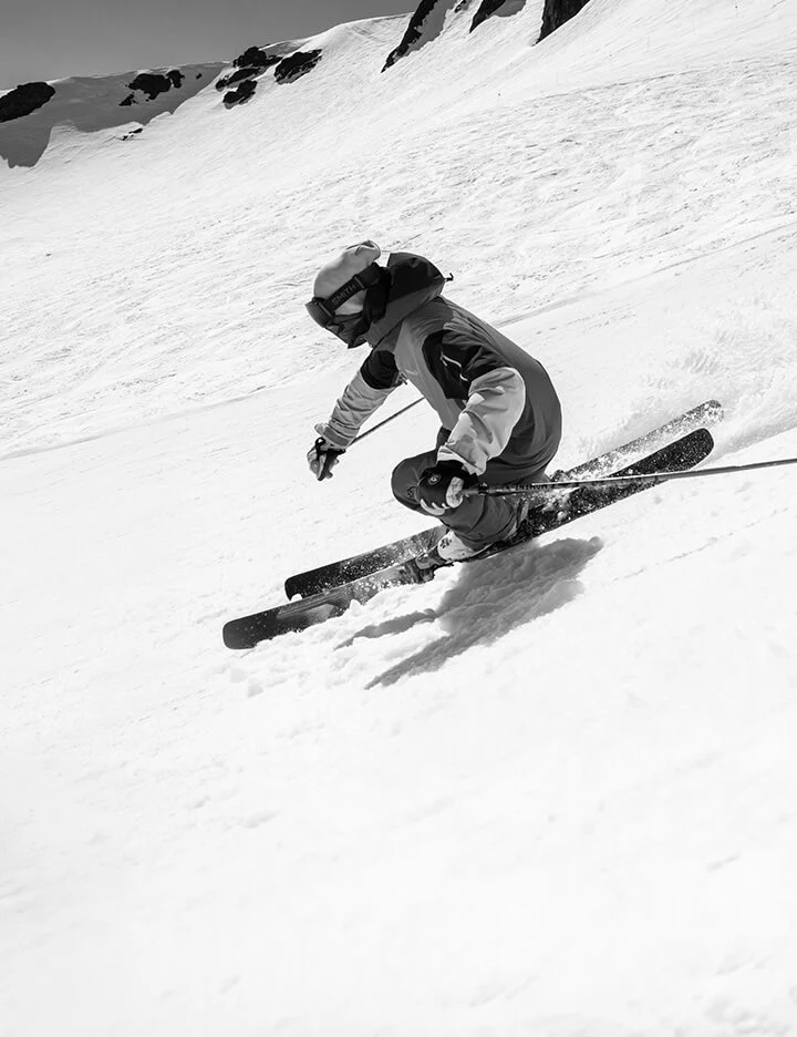 Wildcat 101 - Image 3